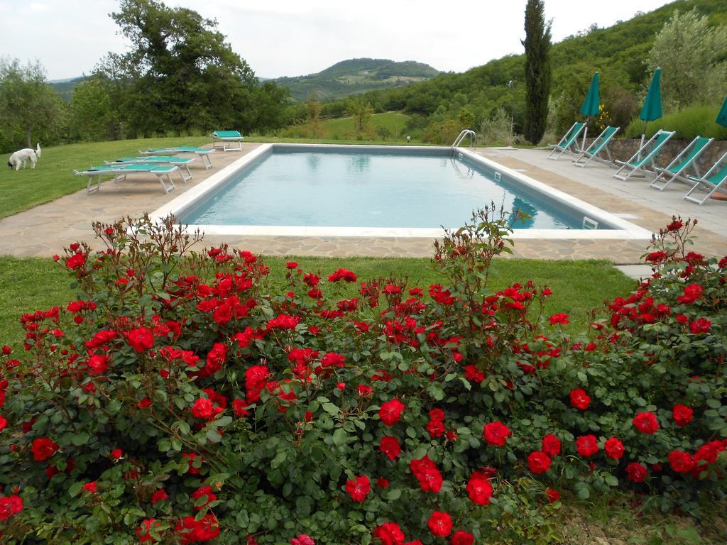 Agriturismo Erta Villa Casole d'Elsa Exterior photo